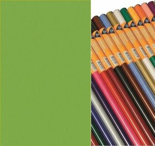 Zijdevloeipapier lichtgroen 15843 18gr 5VL 50x70cm 