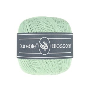 Durable  Blossom brei- en haakgaren 2137 Mint  