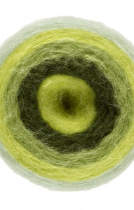 LY Flashy Colors 704