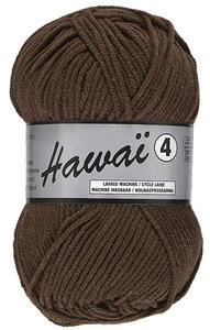 LY Hawai 4 110 Bruin