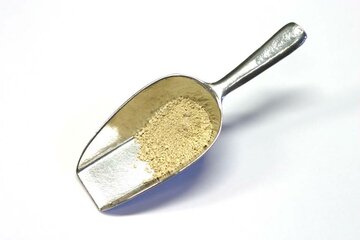 Pigmenten Aarde van Vicenza 100 gram 2004021