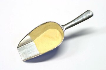 Pigmenten Caseine 100 gram 2004268