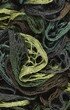 Lammy Yarns Cleopatra 615 Diversen Kleuren Groen