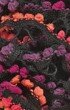 Lammy Yarns Alexandra 603 ZwartmetPaarsRose