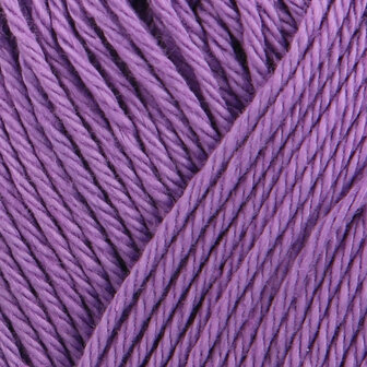 SMC Catania 301 hyacinth