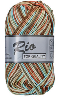 LY Rio Multi 638 Bruin/Turkioos Tinten