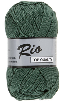 LY Rio 072 Grijsgroen 