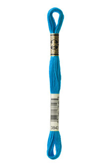 DMC Mouline 3843