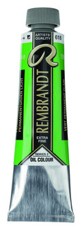 Rembrandt Olieverf tube 40 ml  618 PermanentGroen Licht