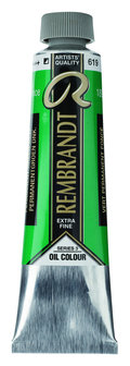 Rembrandt Olieverf tube 40 ml  619  PermanentGroen Donker