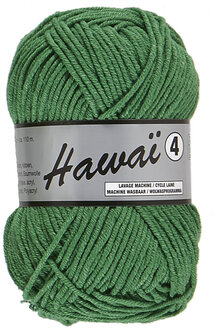 LY  Hawai 4 045 Groen