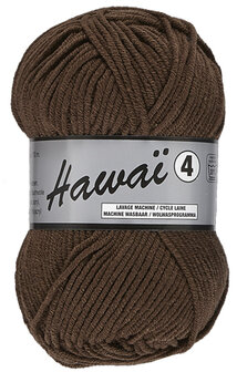 LY Hawai 4 110 Bruin