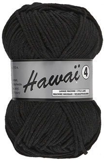 LY Hawai 4 001 Zwart