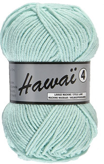 LY Hawai 4 047 Mint