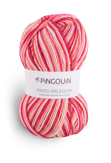 Pingouin Pingo Arlequin 101 Aurore