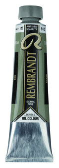 Rembrandt Olieverf tube 40 ml  815 Tin