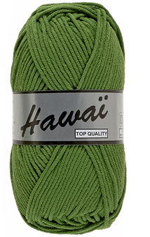 LY  Hawai 045 Groen