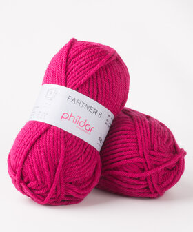 Phil Partner 6 2275 Framboise