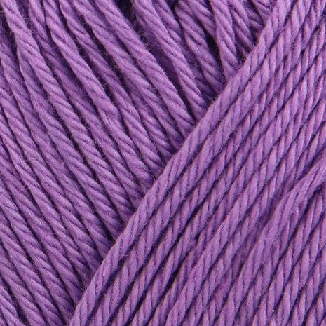 SMC Catania 301 hyacinth