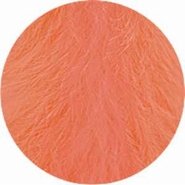 Maraboeveren 10 stuks Abricots