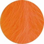 Kalkoenveren 10 stuks Oranje