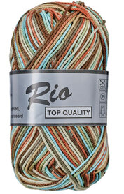 LY Rio Multi 638 Bruin/Turkioos 