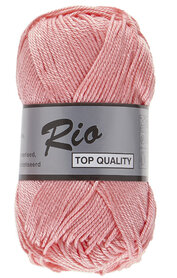 LY Rio 856 Rose