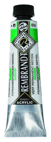 Rembrandt Acrylverf tube 40 ml nr. 614 Permanentgroen middel