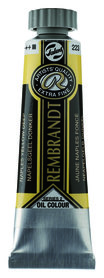 Rembrandt Olieverf tube 15 ml  223 NapelsGeelDeep